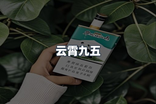 云霄九五